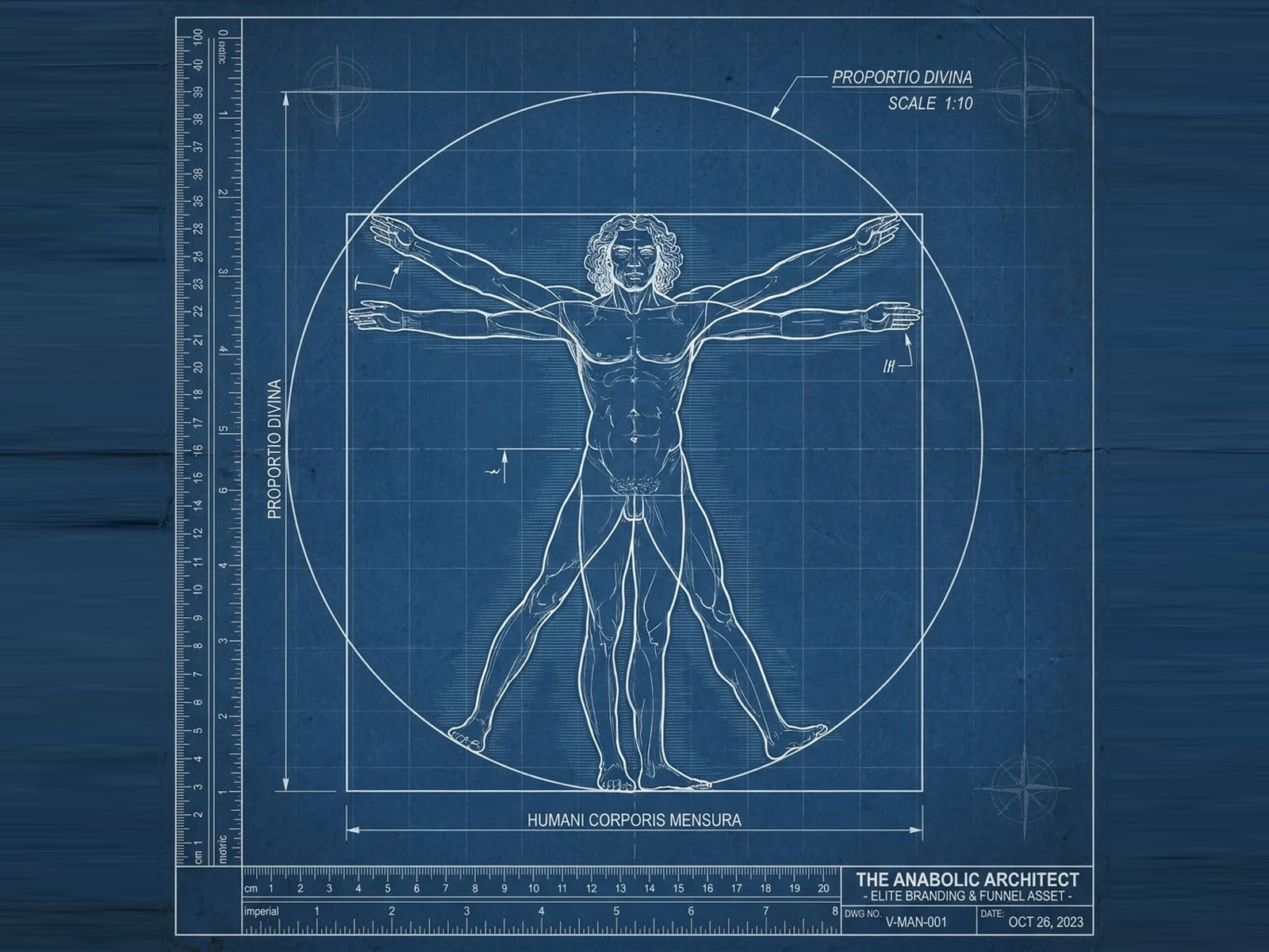 Vitruvian man rendered as an engineering blueprint titled Proportio Divina for The Anabolic Architect